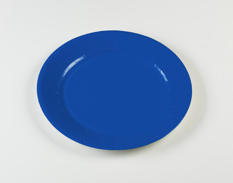 Carrefour Home 76274 Plate disposable plate/bowl