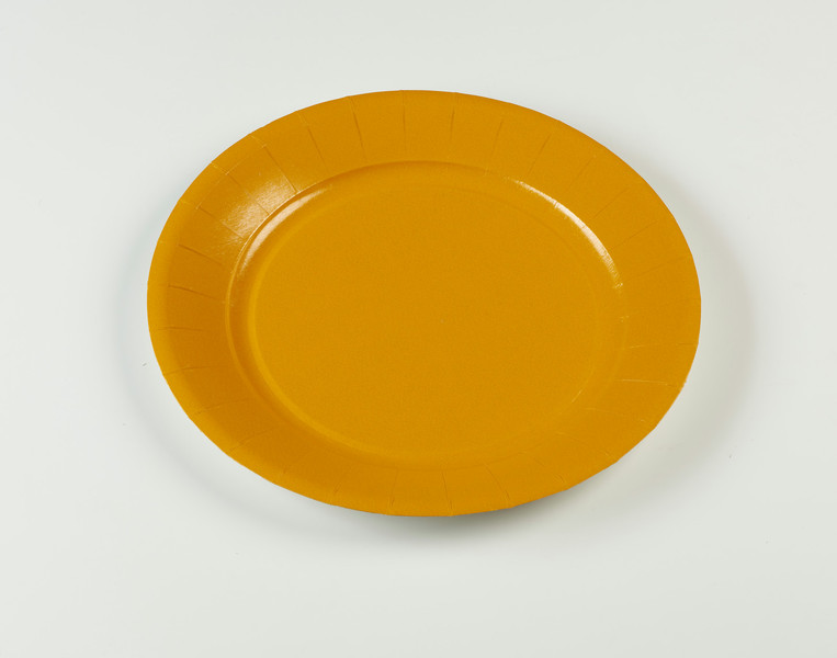 Carrefour Home 76271 Plate disposable plate/bowl