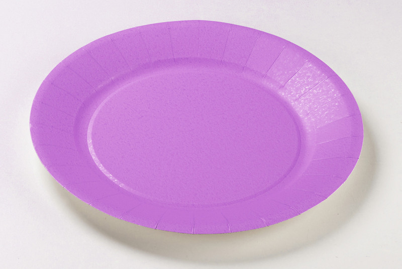 Carrefour Home 76272 Plate disposable plate/bowl