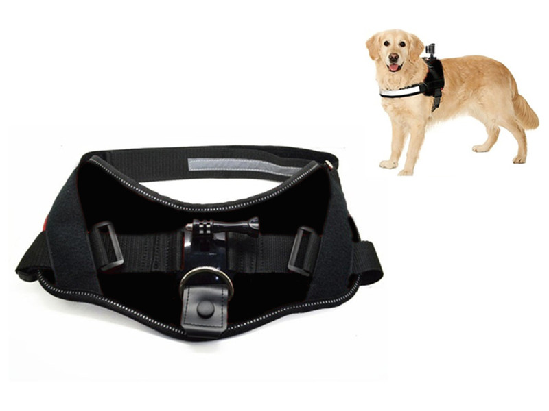 ACTIVEON ACM09DV Собака Dog harness