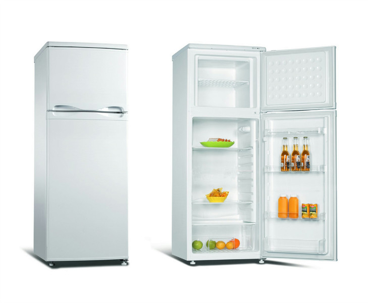 Frigelux RFDP 214 A+ freestanding 160L 45L A+ White fridge-freezer