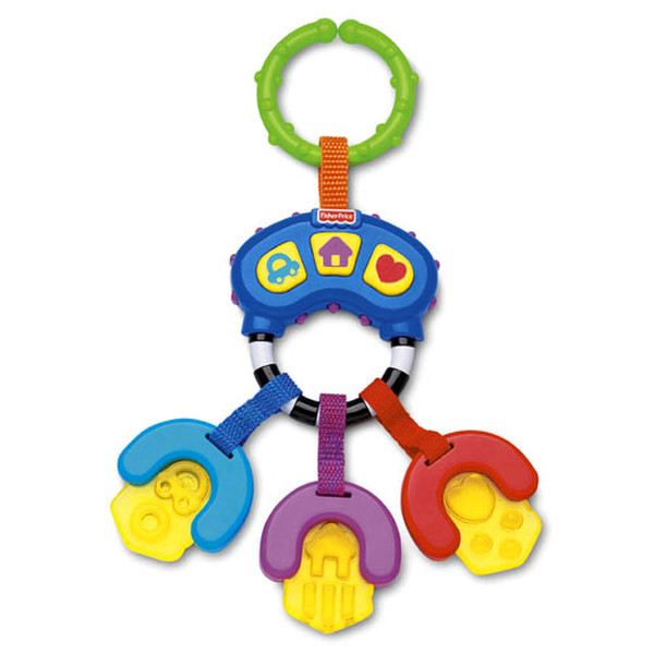Fisher Price K7188 rattle