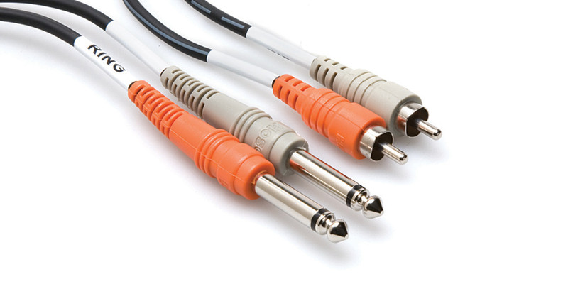 Hosa Technology 2 x RCA/2 x TS 4m 2 x RCA 2 x 6.35mm TS Schwarz Audio-Kabel