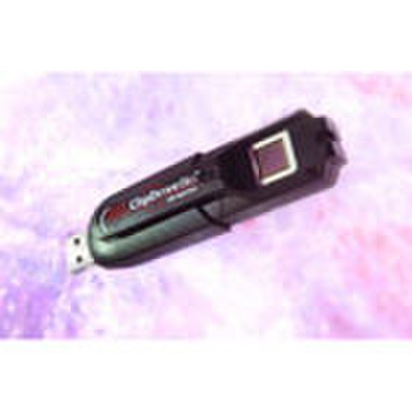 Toshiba 256 MB Biometric USB Expansion Drive memory card