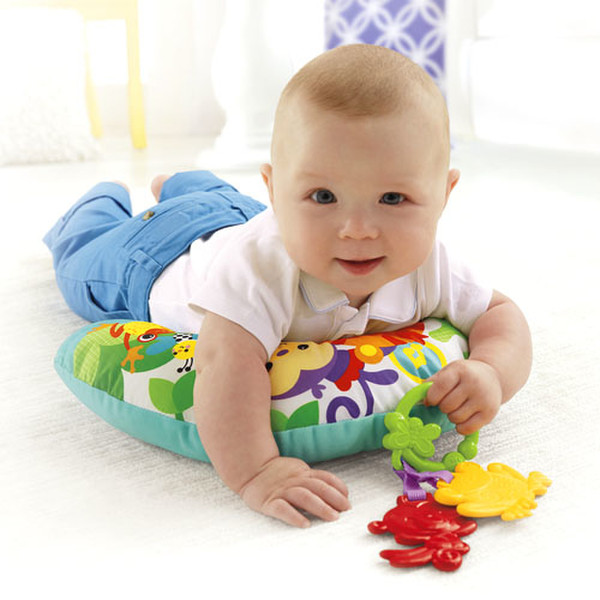 Fisher Price Everything Baby CDR52 Мальчик / Девочка обучающая игрушка