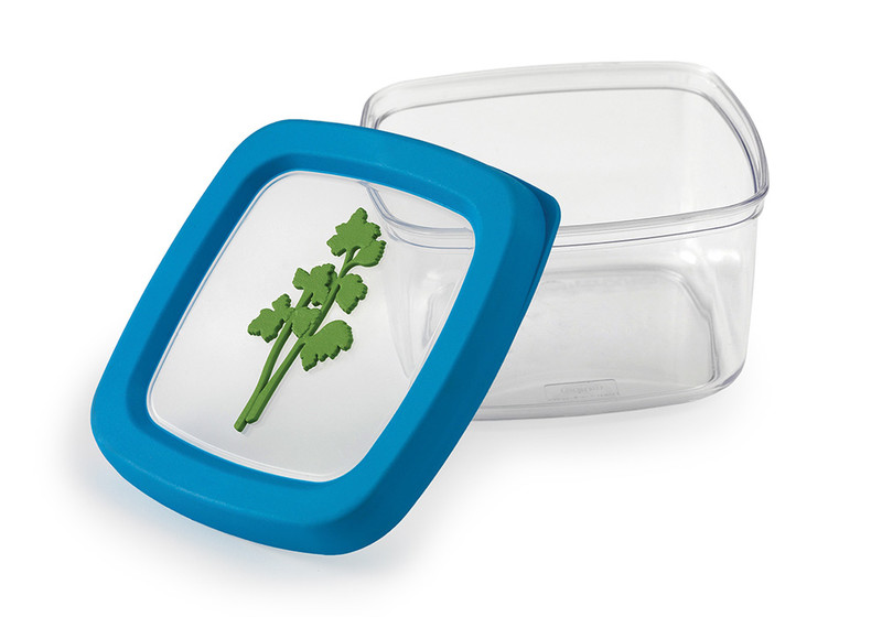 Snips 021436 Прямоугольный Коробка 0.5л Синий, Зеленый, Прозрачный 1шт емкость для хранения еды