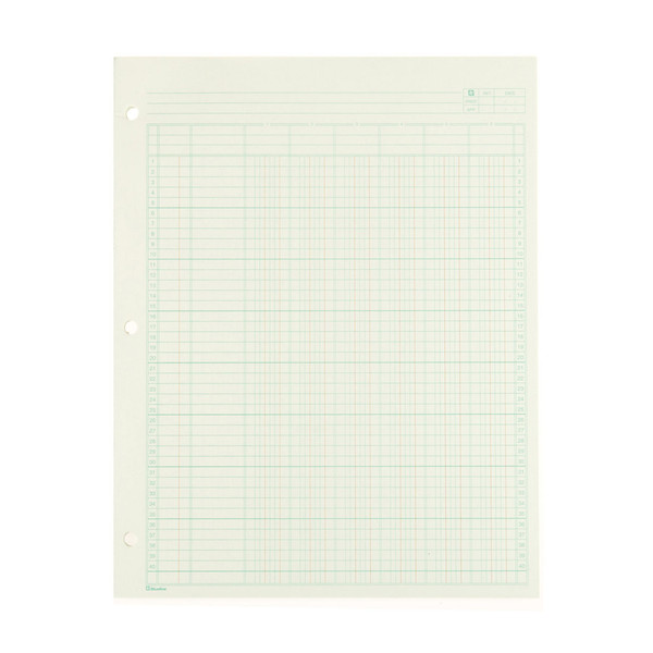 Blueline A5206 accounting form/book