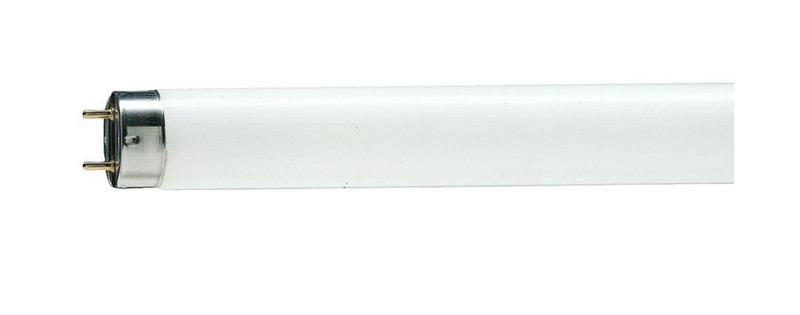 Philips 871150070271540 36W G13 Cool daylight fluorescent bulb