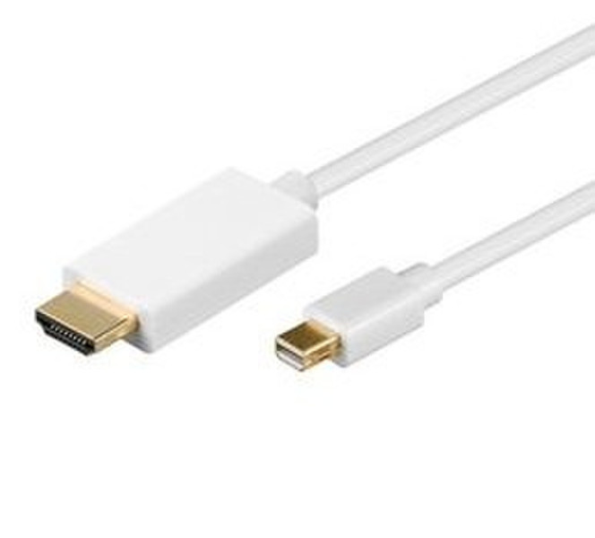 Wentronic 58824 1m Mini DisplayPort HDMI