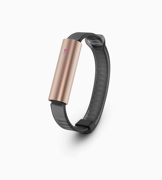 Misfit Ray Clip-on/Wristband activity tracker LED Wireless Black,Gold