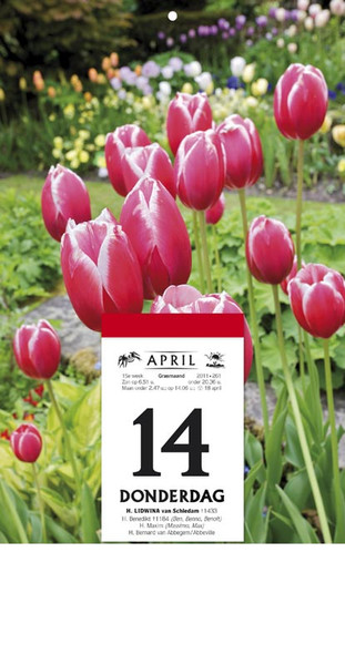 Strobbe 330003 calendar