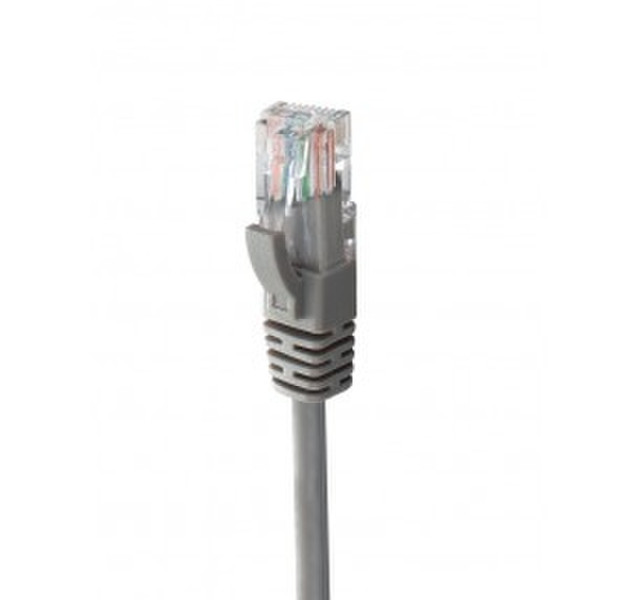 MachPower CV-LAN-002 3m Cat5e U/UTP (UTP) Grau Netzwerkkabel