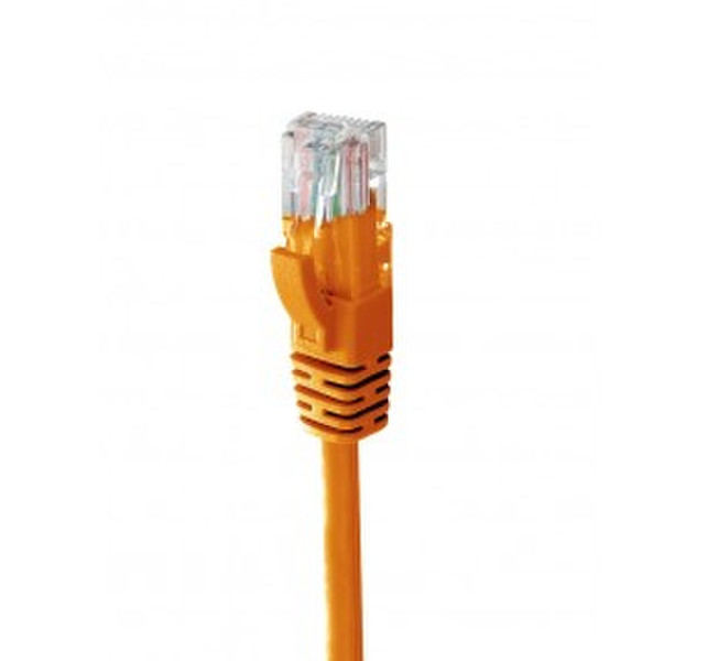 MachPower CV-LAN-031-O 0.5m Cat5e U/UTP (UTP) Orange networking cable