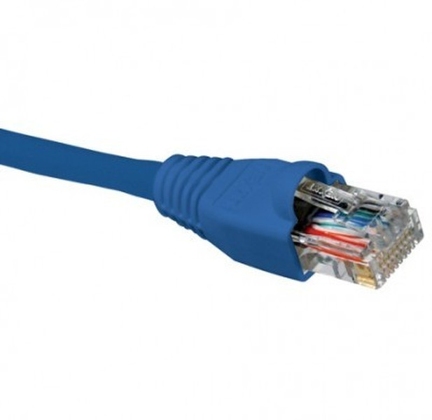 BRobotix 318030 0.9m Blue networking cable