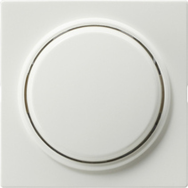 GIRA 012740 White electrical switch