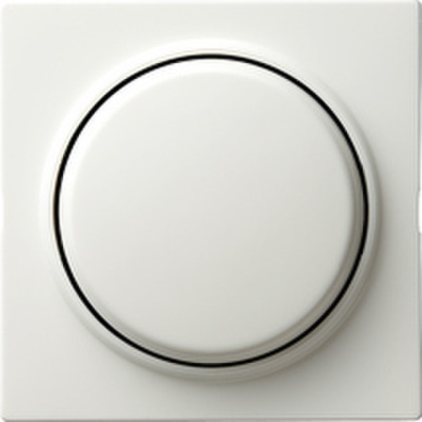 GIRA 065540 White light switch
