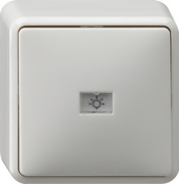 GIRA 015613 White electrical switch