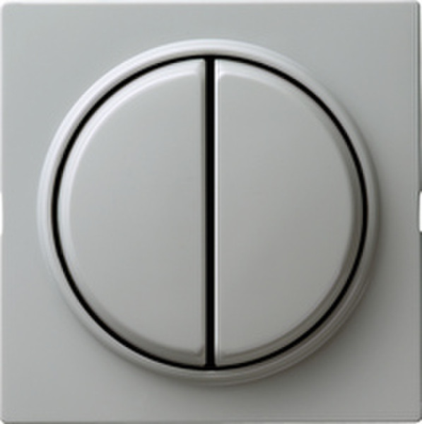 GIRA 012542 Grey electrical switch