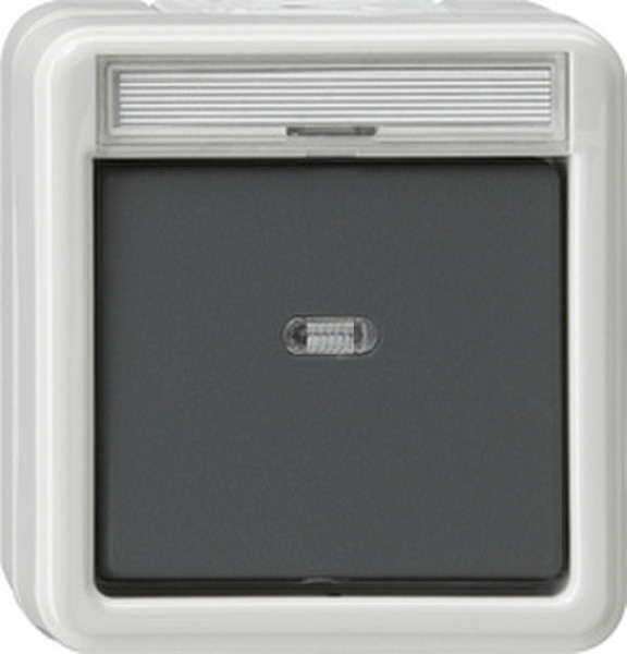 GIRA 011230 Grey,White electrical switch