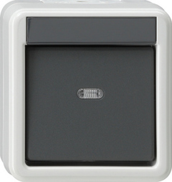 GIRA 010730 Grey,White electrical switch