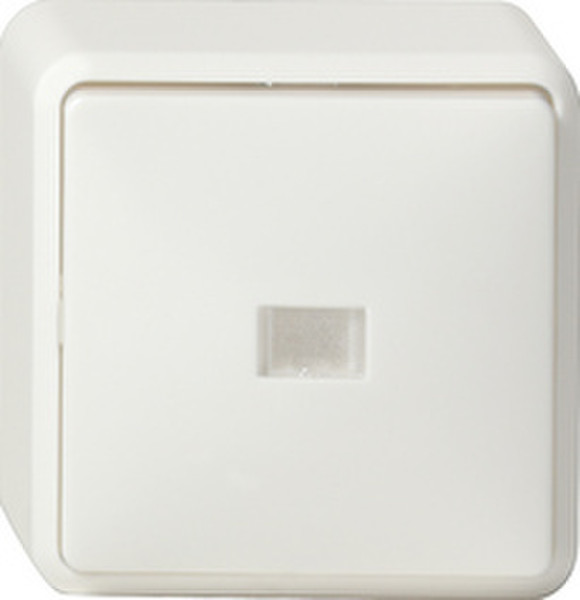 GIRA 011613 White electrical switch