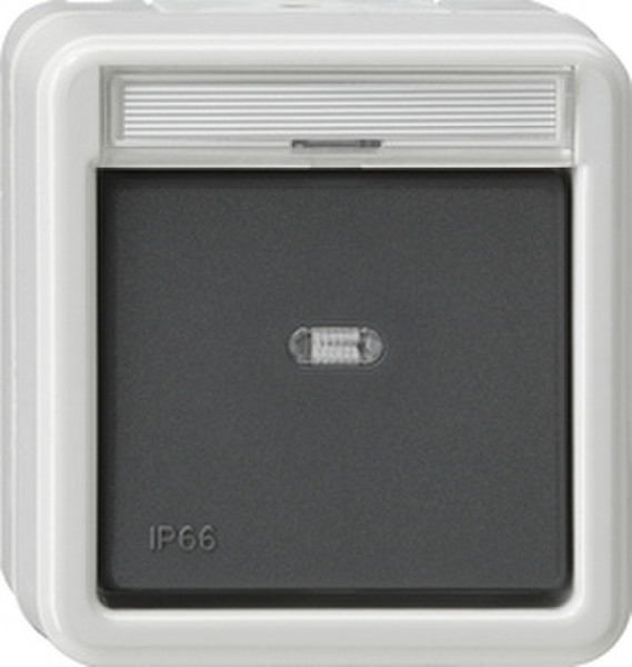 GIRA 010631 Grey,White electrical switch