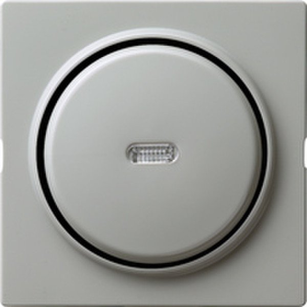 GIRA 013642 Grey electrical switch