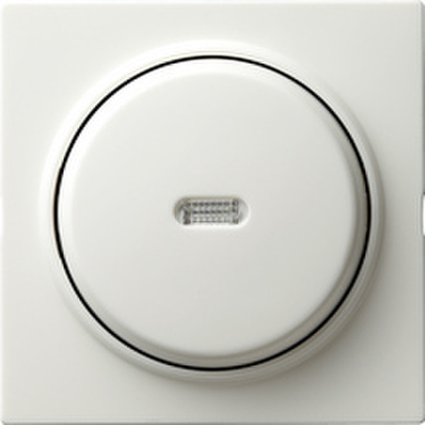 GIRA 013640 White electrical switch