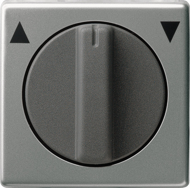 GIRA 066620 Stainless steel electrical switch