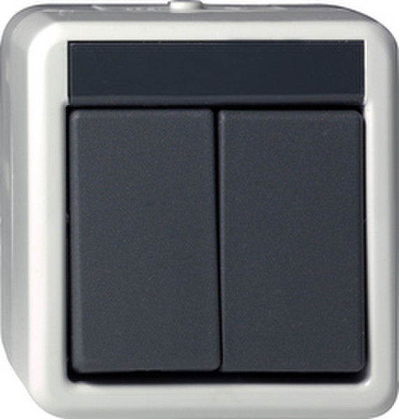 GIRA 015530 Black,Grey light switch
