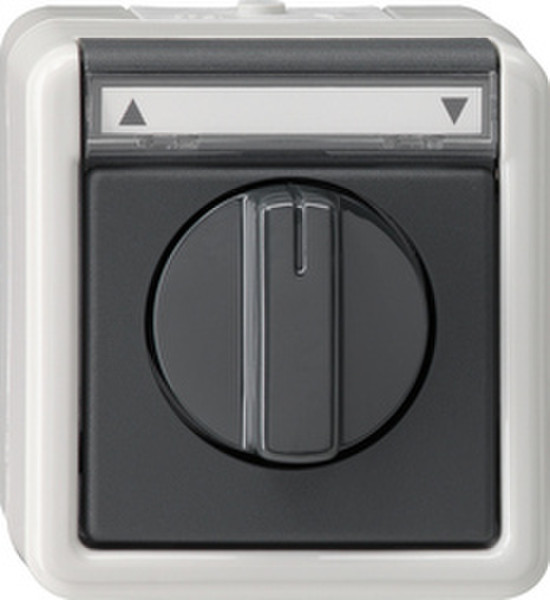 GIRA 015430 Black,Grey electrical switch