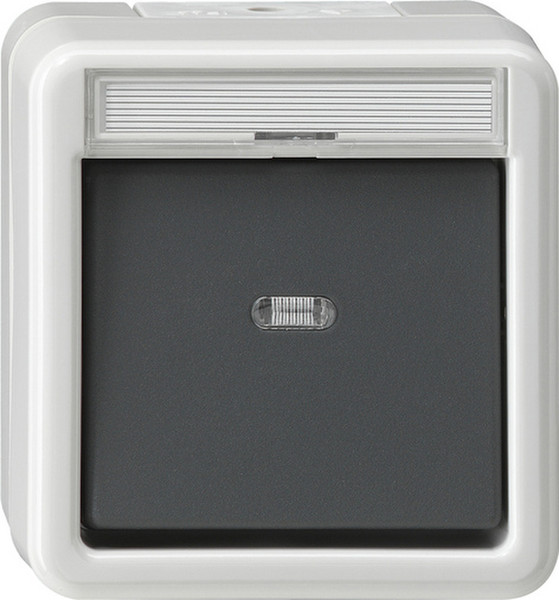 GIRA 015230 Grey light switch