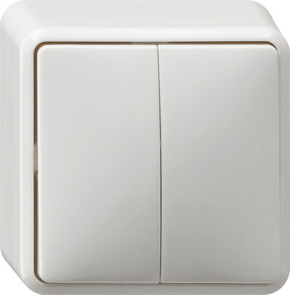 GIRA 010513 White electrical switch