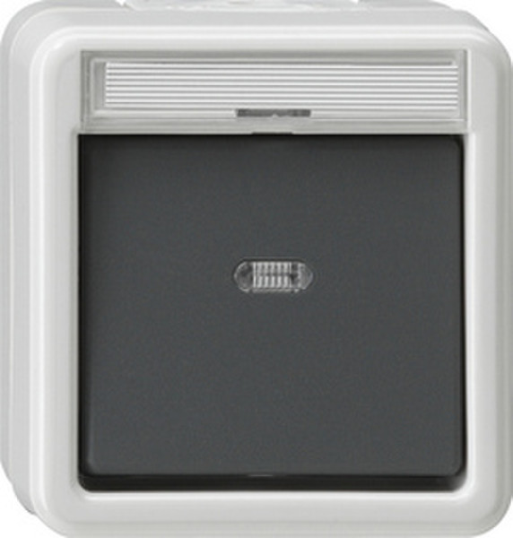 GIRA 011630 Grey,White electrical switch