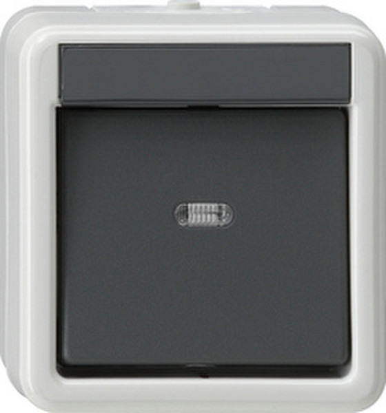 GIRA 010230 Black,Grey electrical switch