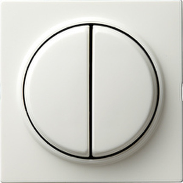 GIRA 012540 White electrical switch