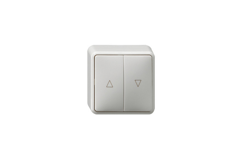 GIRA 015813 White light switch