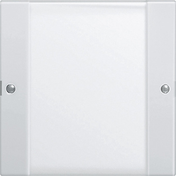 GIRA 213103 White electrical switch