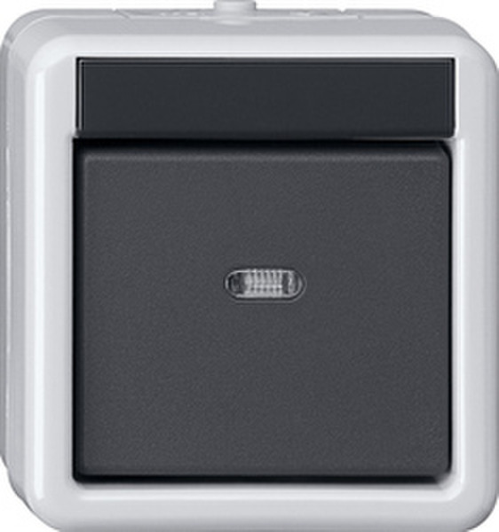 GIRA 515230 Black,Grey electrical switch