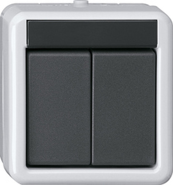 GIRA 516230 Grey electrical switch