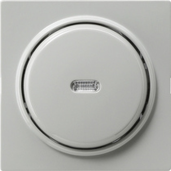 GIRA 012242 Grey electrical switch