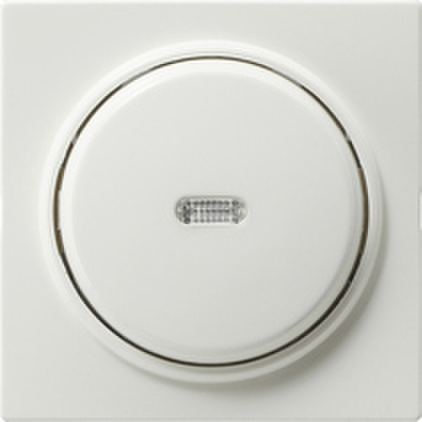 GIRA 012240 White electrical switch