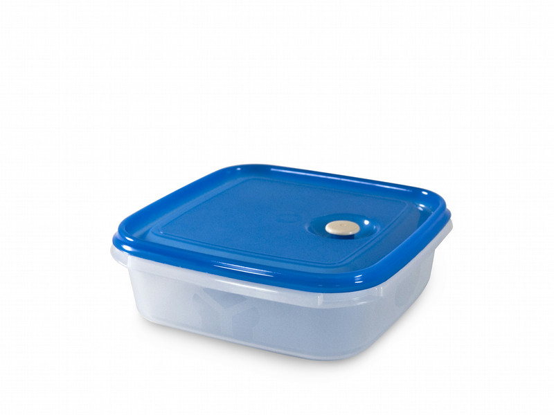 Carrefour 04172 food storage container
