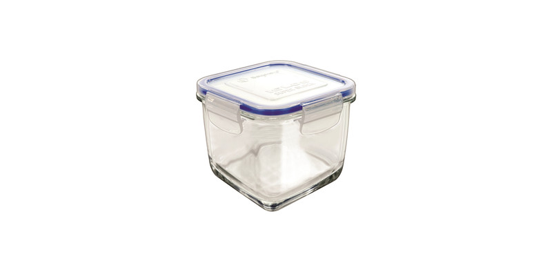 Borgonovo 0033541 Square Box 0.83L Blue,Transparent 1pc(s) food storage container
