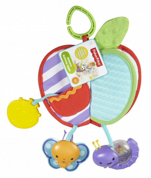 Fisher Price Everything Baby DFP88 Boy/Girl learning toy