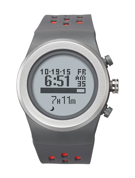 LifeTrak Zone R420 Wristband activity tracker LCD Wireless Grey,Red