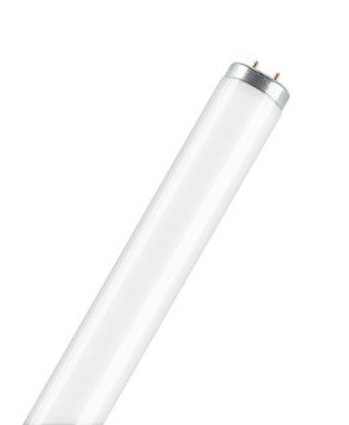 Osram SA-Type T12 40Вт G13 A Холодный белый