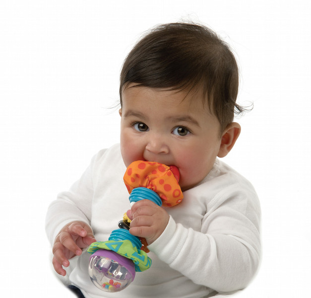 Playgro 0181598 rattle