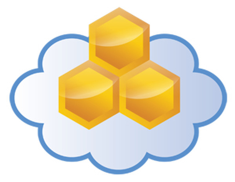 Aerohive HiveManager, 1Y