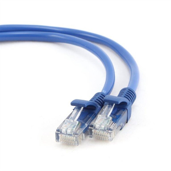 iggual IGG311066 0.25m Cat5e U/UTP (UTP) Blue networking cable